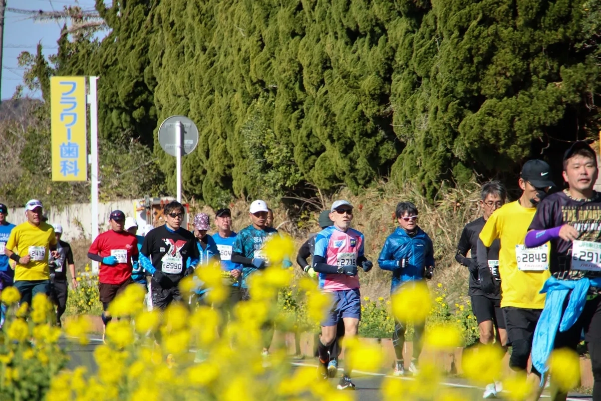 Tateyama Wakashio Marathon 2026 (© Veranstalter) Tateyama Wakashio Marathon 2026 (© Veranstalter)