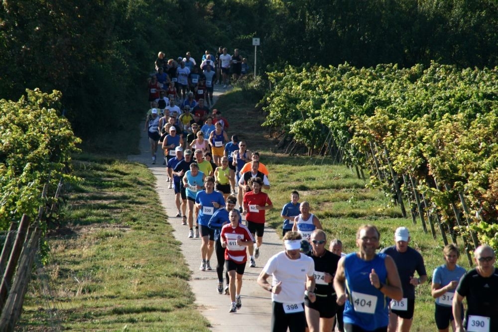 Kriegsheimer Panoramalauf, Foto: Veranstalter Kriegsheimer Panoramalauf, Foto: Veranstalter