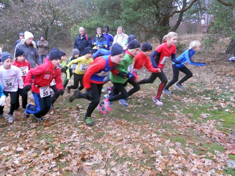 Crosslauf Horn (C) Veranstalter Crosslauf Horn (C) Veranstalter