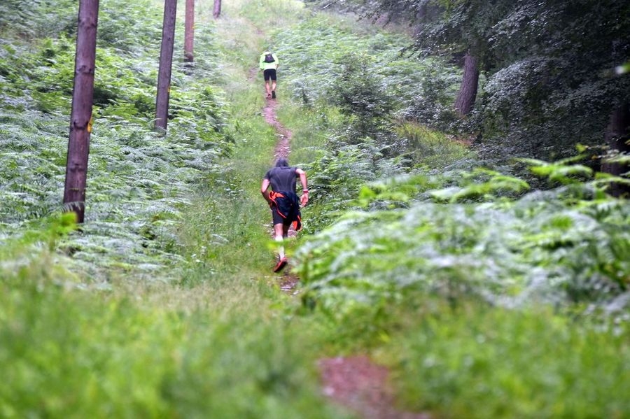 Wiesbaden Marathon & Wiesbaden TrailRun (C) Veranstalter Wiesbaden Marathon & Wiesbaden TrailRun (C) Veranstalter