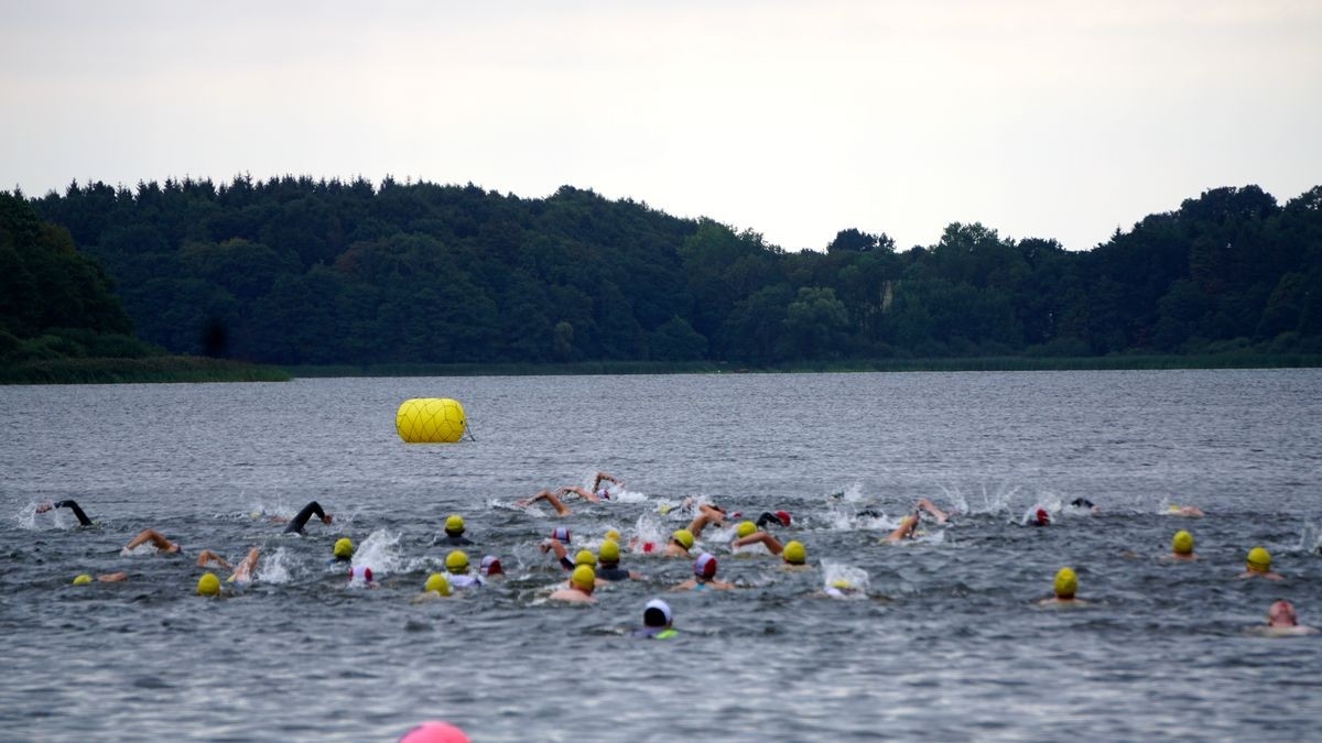 Feldathlon, Foto Veranstalter Feldathlon, Foto Veranstalter