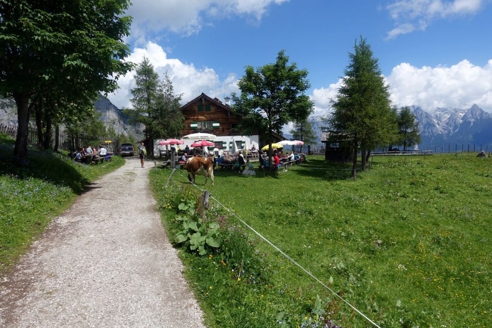 Mitterfeldalm Mitterfeldalm