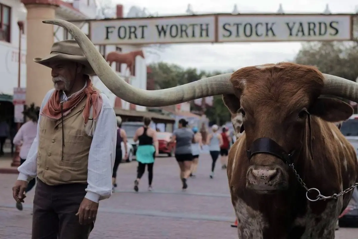 Cowtown Marathon 2024 (Foto: © Veranstalter) Cowtown Marathon 2024 (Foto: © Veranstalter)