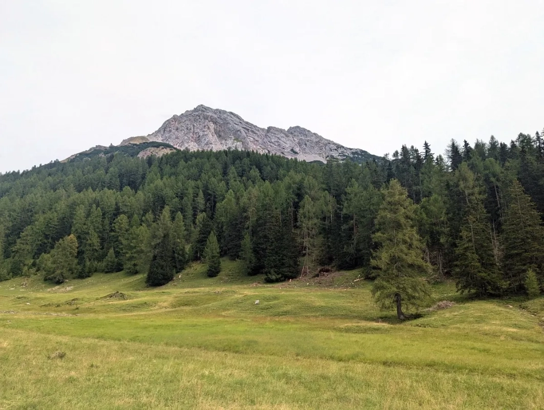 Hochwannig 12: Blick von der Nassereither Alm zum Wannig Hochwannig 12: Blick von der Nassereither Alm zum Wannig
