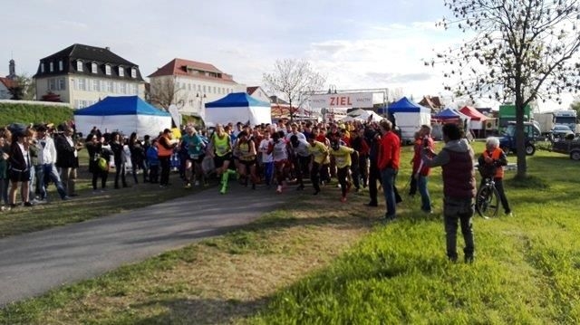 Mainuferlauf (C) Veranstalter Mainuferlauf (C) Veranstalter