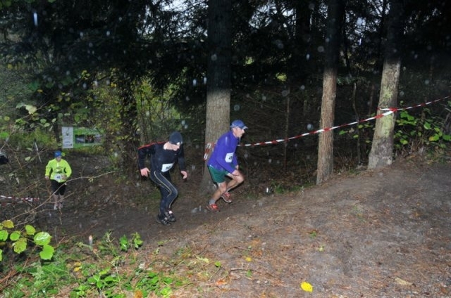 Cross Country Lauf Walpersbach (C) Veranstalter Cross Country Lauf Walpersbach (C) Veranstalter