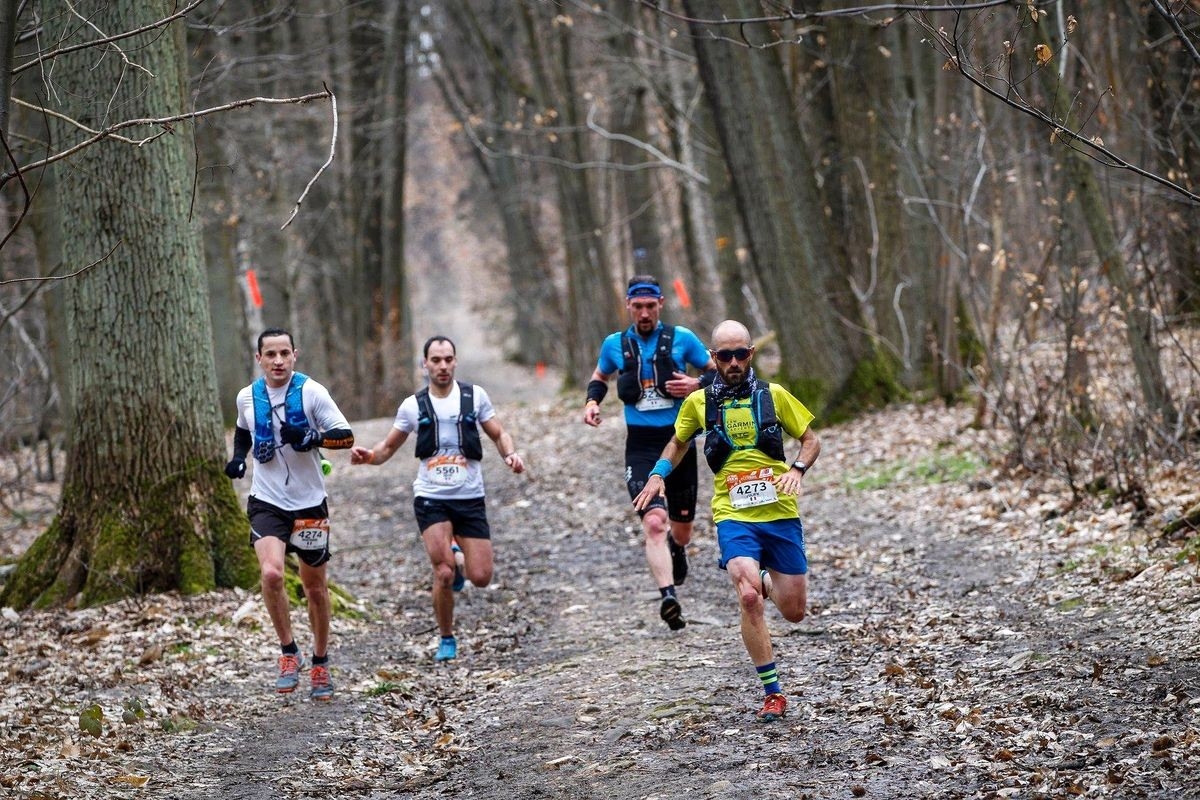 Ecotrail de Paris, Foto: Veranstalter Ecotrail de Paris, Foto: Veranstalter