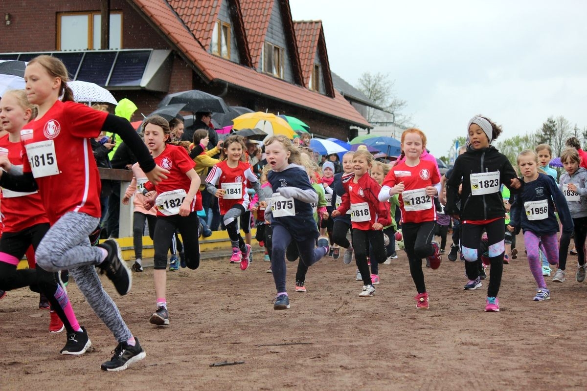 Friedrich-Wischhöfer-Lauf, Foto: Veranstalter Friedrich-Wischhöfer-Lauf, Foto: Veranstalter