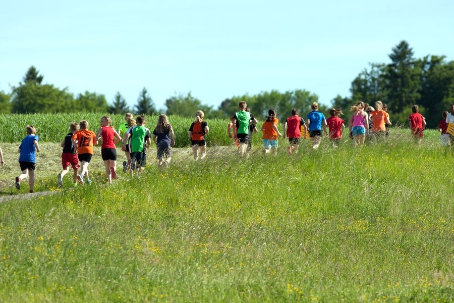 Messener Geländelauf (C) Veranstalter Messener Geländelauf (C) Veranstalter