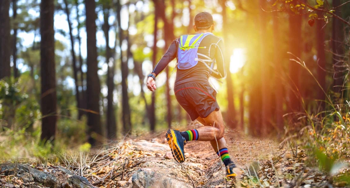 Anningerlauf Anningerlauf