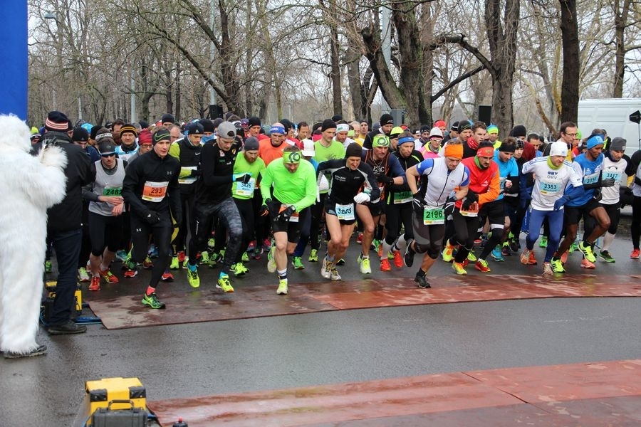 Eisbärlauf 2018 Eisbärlauf 2018