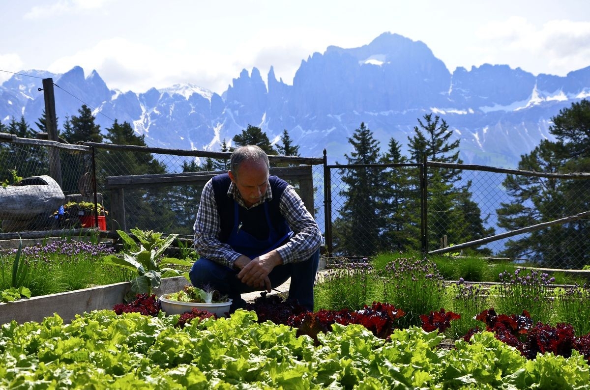 Tschafonhütte (Rifugio Tschafon), Foto: Hüttenpächter Tschafonhütte (Rifugio Tschafon), Foto: Hüttenpächter