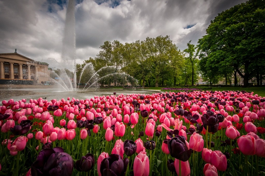 A modern triathlon scene. Race in Poland this year! (c) Tomasz Hejna A modern triathlon scene. Race in Poland this year! (c) Tomasz Hejna