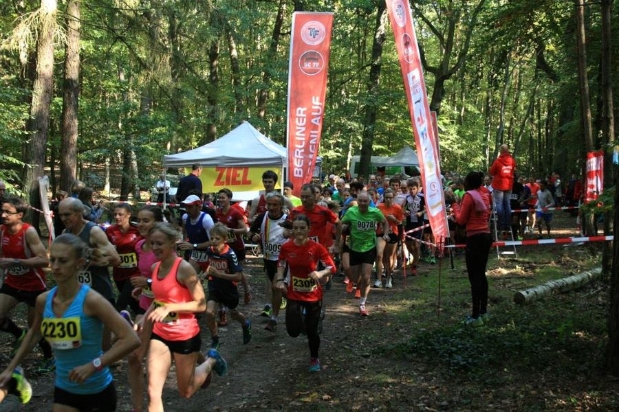 Sägerserie (C) Veranstalter Sägerserie (C) Veranstalter