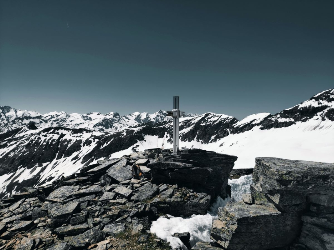 Goldzechkopf Goldzechkopf