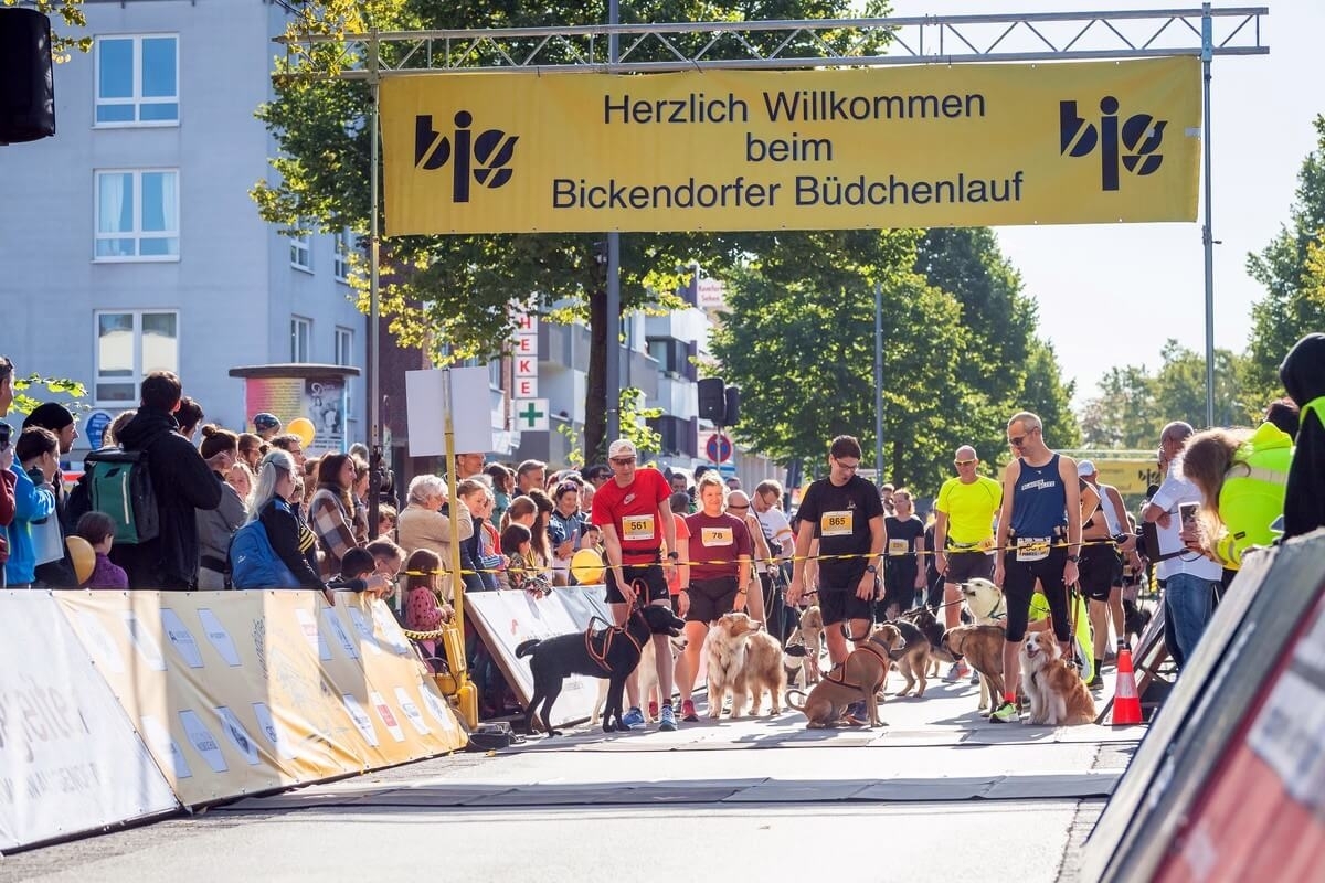 Bickendorfer Büdchenlauf 2023, Foto: © Veranstalter Bickendorfer Büdchenlauf 2023, Foto: © Veranstalter