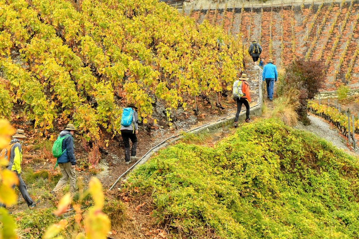 Genuss-Marathon, Foto: Veranstalter Genuss-Marathon, Foto: Veranstalter