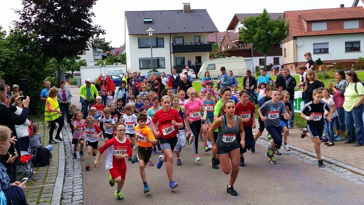 Kieselbronner Gaißeschennerlauf, Foto: Veranstalter Kieselbronner Gaißeschennerlauf, Foto: Veranstalter