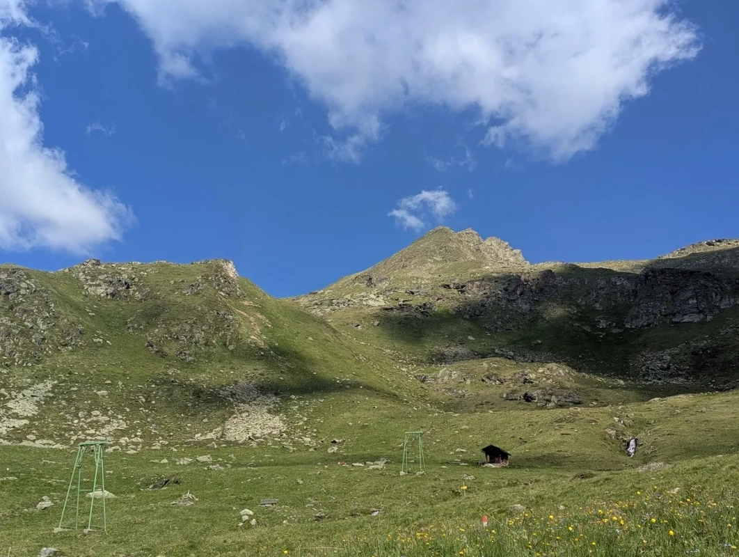 Weißes Beil im Juni 2025 Weißes Beil im Juni 2025