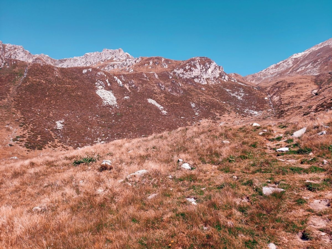 Kreuzjochkogel Kreuzjochkogel