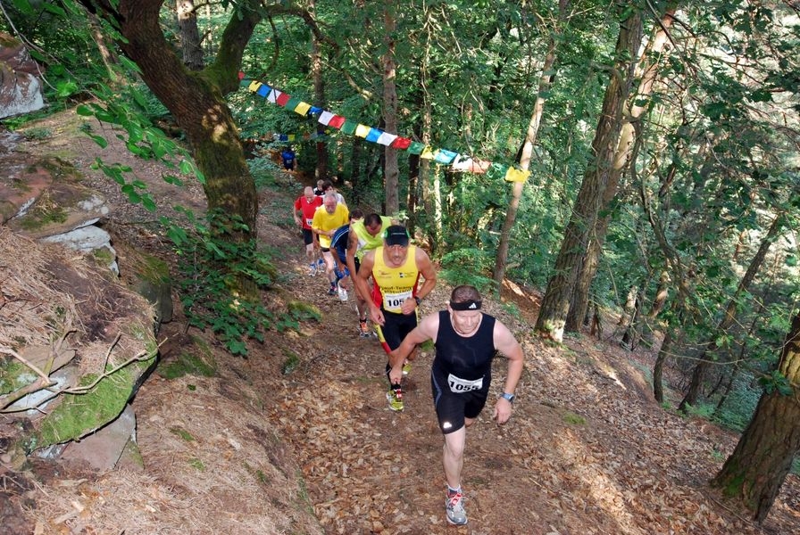 Wasgaubad-Lauf 2018 (C) Veranstalter Wasgaubad-Lauf 2018 (C) Veranstalter