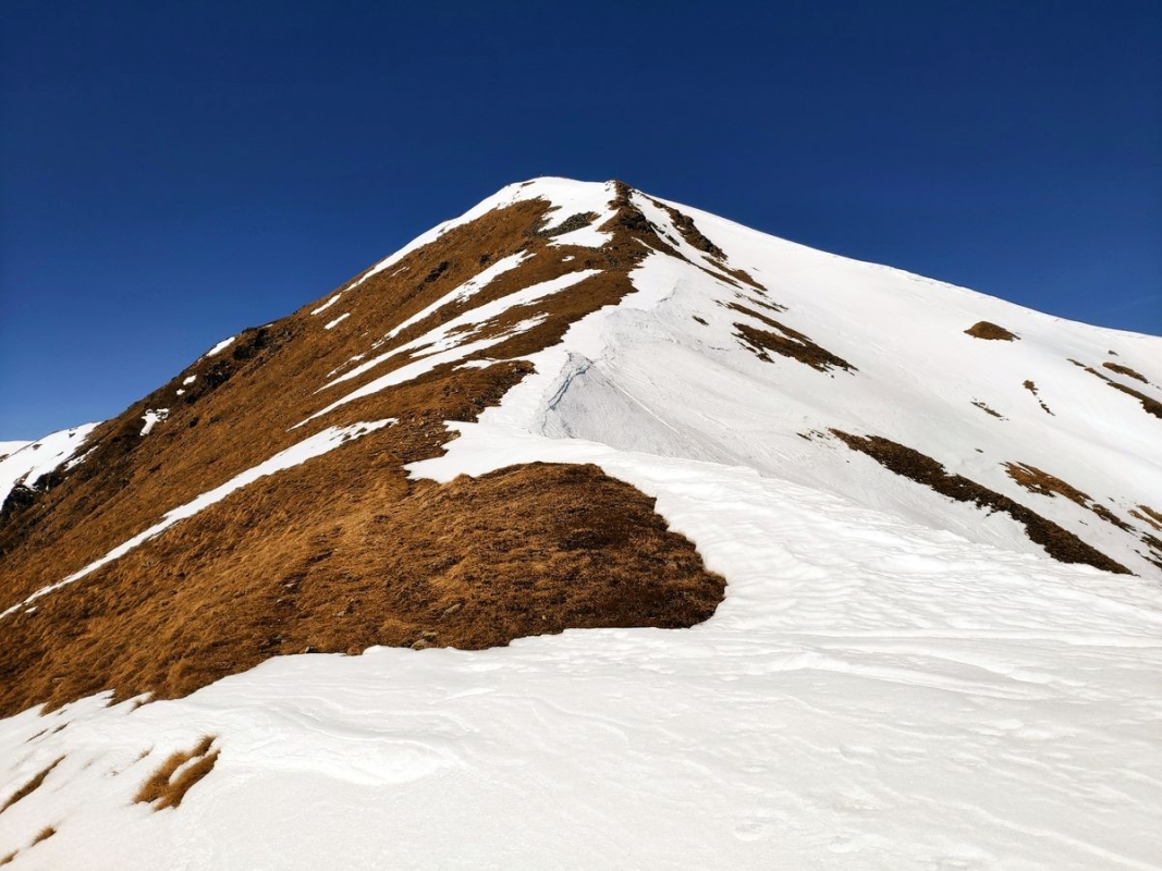 Schwaigerhöhe Schwaigerhöhe