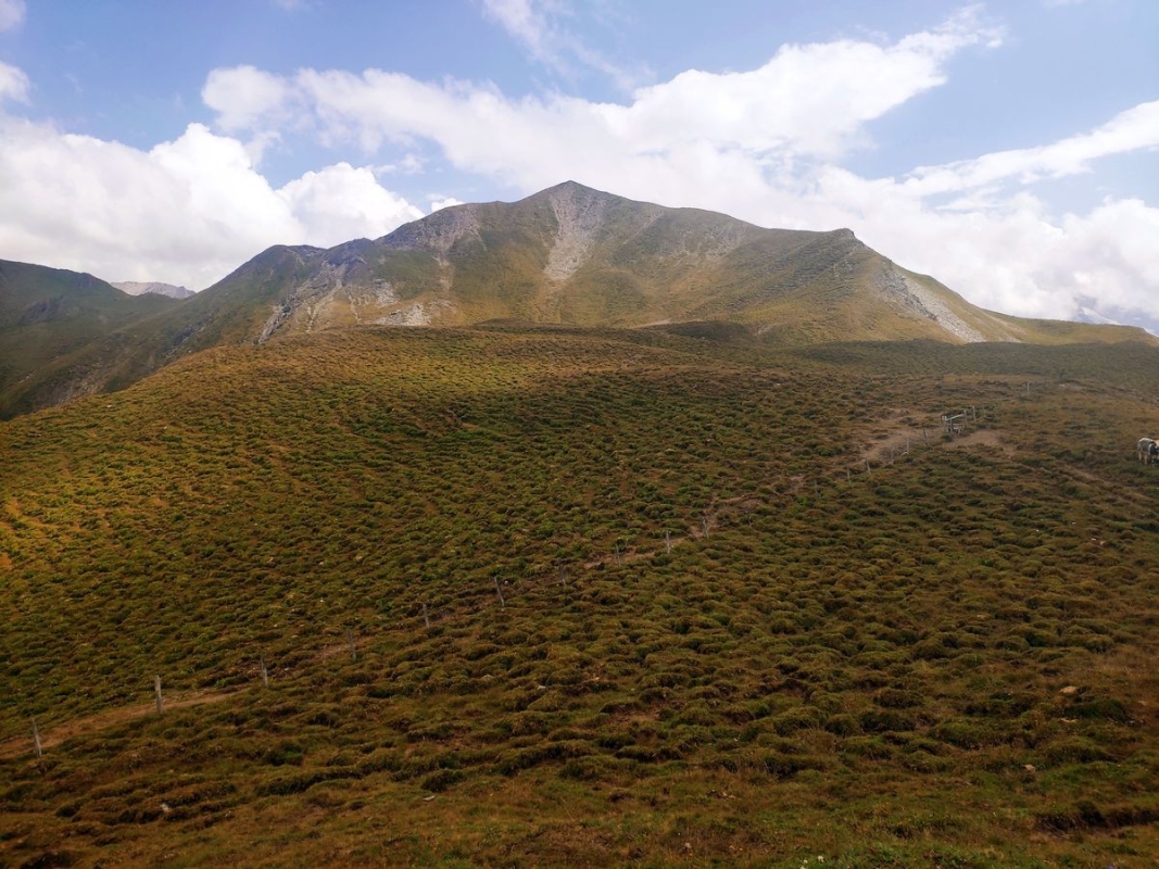 Naviser Kreuzjöchl Naviser Kreuzjöchl