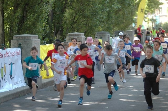 SPOKI Summerstage Schülerläufe (C) Veranstalter SPOKI Summerstage Schülerläufe (C) Veranstalter