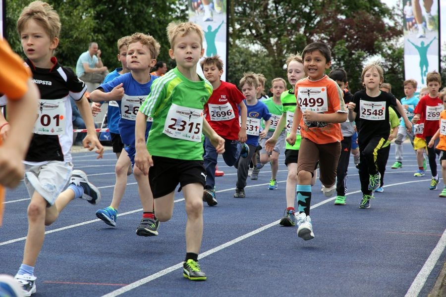 Frühlingslauf St. Leon-Rot (C) Veranstalter Frühlingslauf St. Leon-Rot (C) Veranstalter