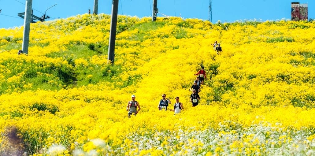 EcoTrail de Stockholm, Foto: Veranstalter EcoTrail de Stockholm, Foto: Veranstalter