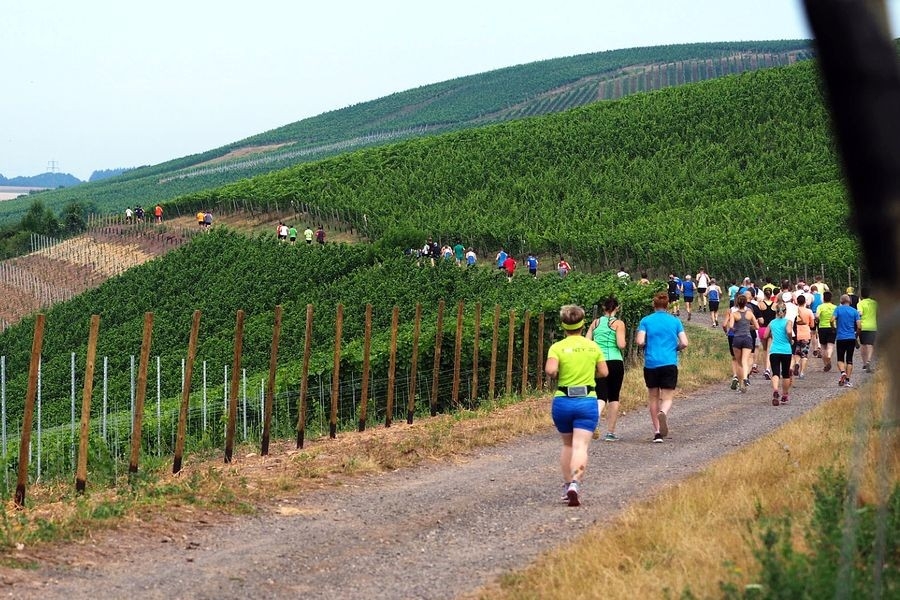 Monzinger Wingertslauf (c) Veranstalter Monzinger Wingertslauf (c) Veranstalter