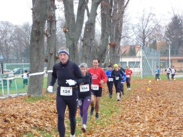 Crosslauf Ternitz (C) Veranstalter Crosslauf Ternitz (C) Veranstalter