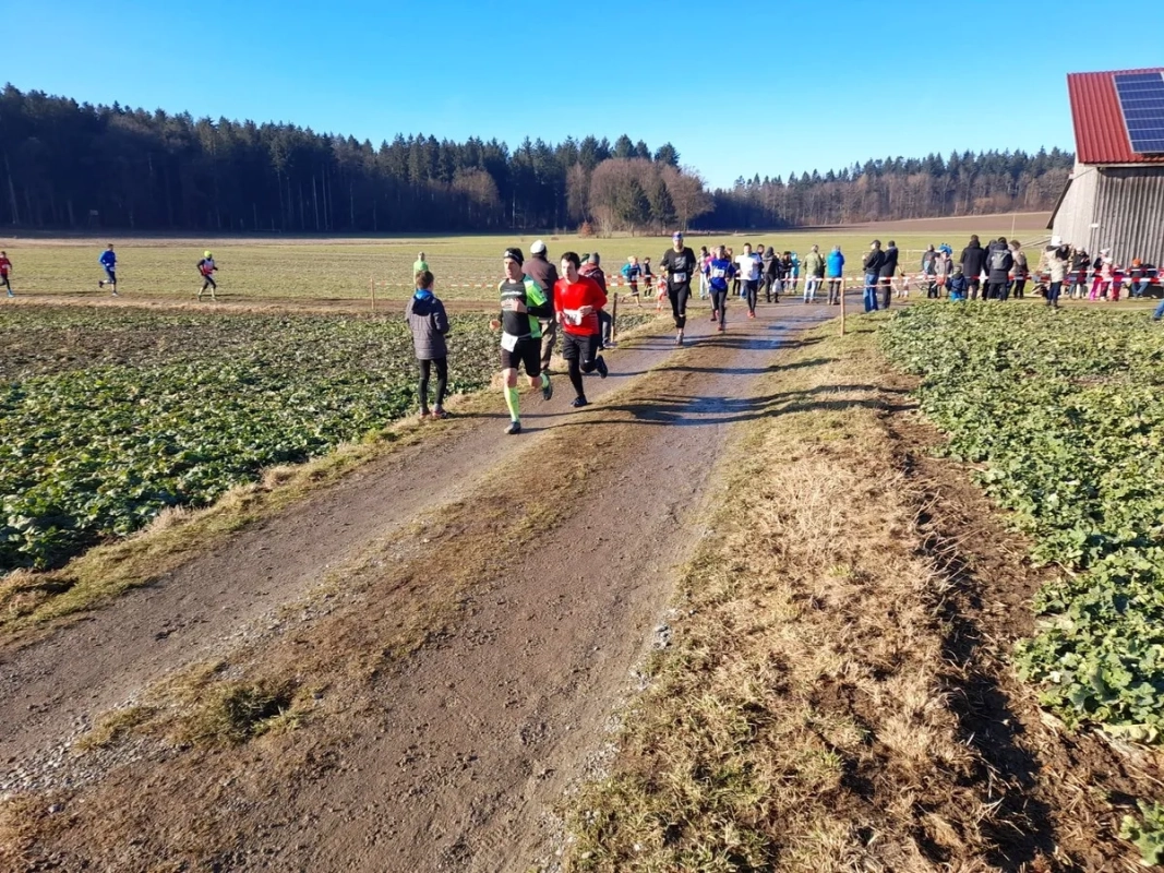 Crosslauf Birkenhard 2024 (Foto: © Veranstalter) Crosslauf Birkenhard 2024 (Foto: © Veranstalter)