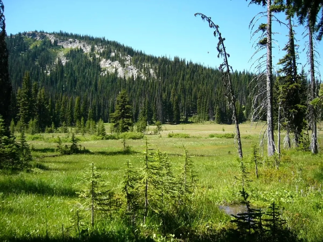 Plain 100 Endurance Runs (Foto: © Veranstalter) Plain 100 Endurance Runs (Foto: © Veranstalter)