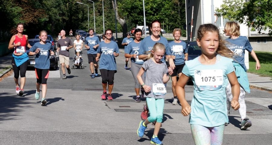Mauer Waldorf Lauf (c) Veranstalter Mauer Waldorf Lauf (c) Veranstalter