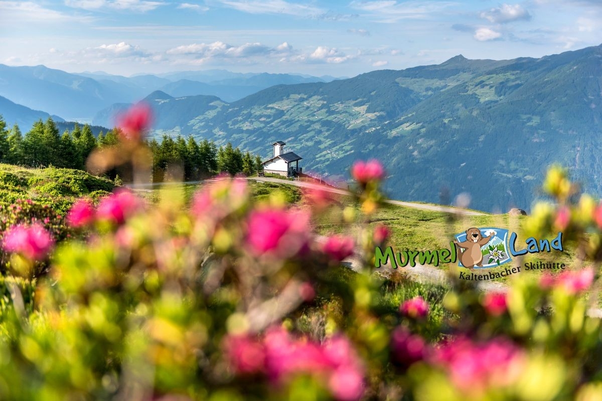Kaltenbacher Skihütte, Foto: Hüttenpächter Kaltenbacher Skihütte, Foto: Hüttenpächter