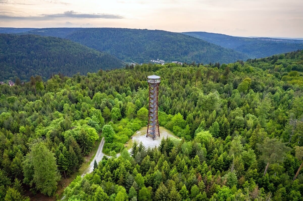 Nordschwarzwald Triathlon, Foto: © Alex Kijak / Tri Events BW Nordschwarzwald Triathlon, Foto: © Alex Kijak / Tri Events BW