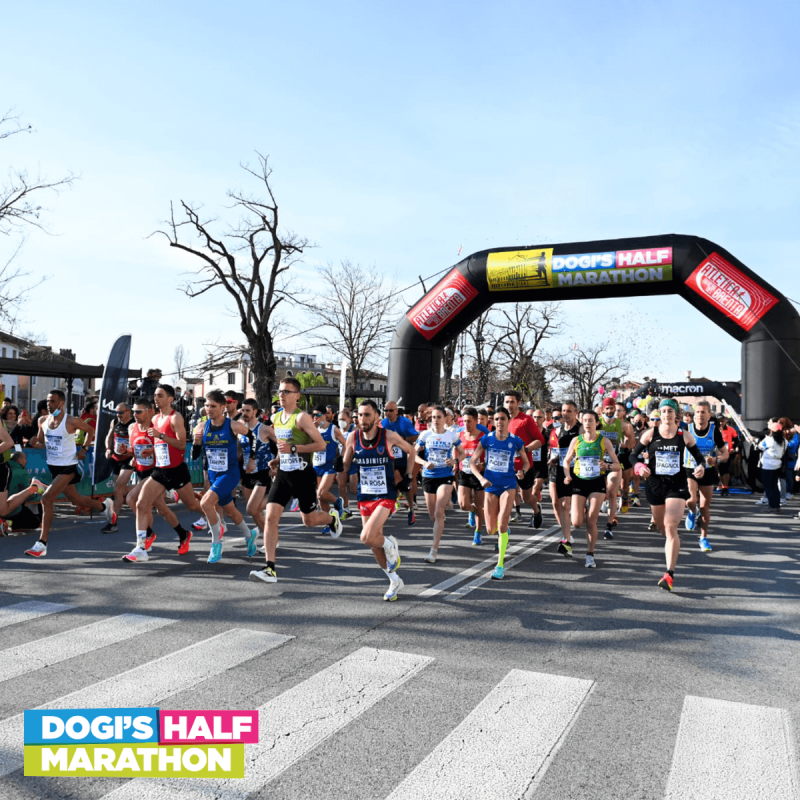 Dogi's Half Marathon, Foto: Veranstalter Dogi's Half Marathon, Foto: Veranstalter