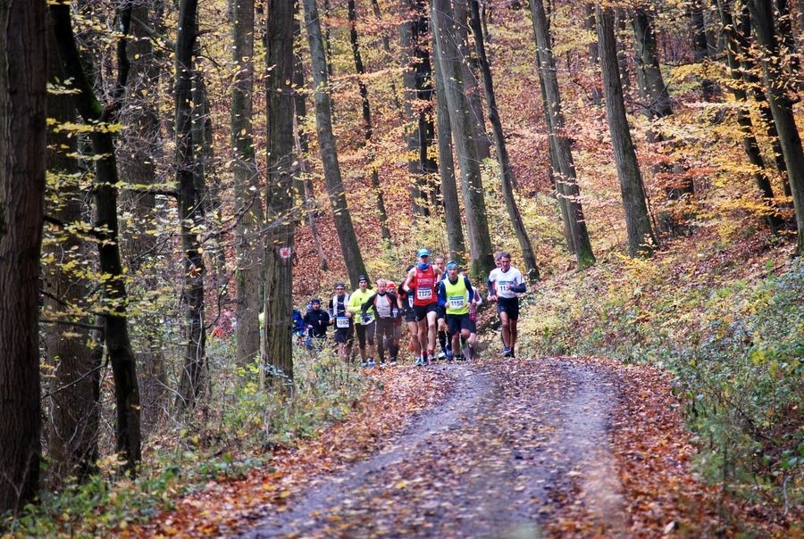 Zeiler Waldmarathon (c) Veranstalter Zeiler Waldmarathon (c) Veranstalter