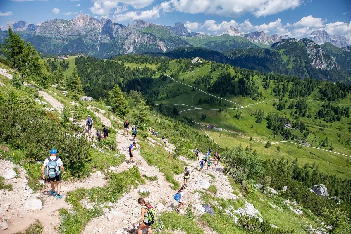 Transcivetta 2024 Transcivetta 2024