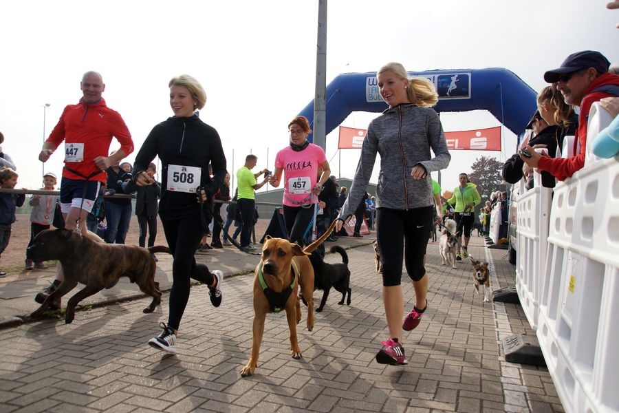 Altländer Butterkuchenlauf (C) Veranstalter Altländer Butterkuchenlauf (C) Veranstalter