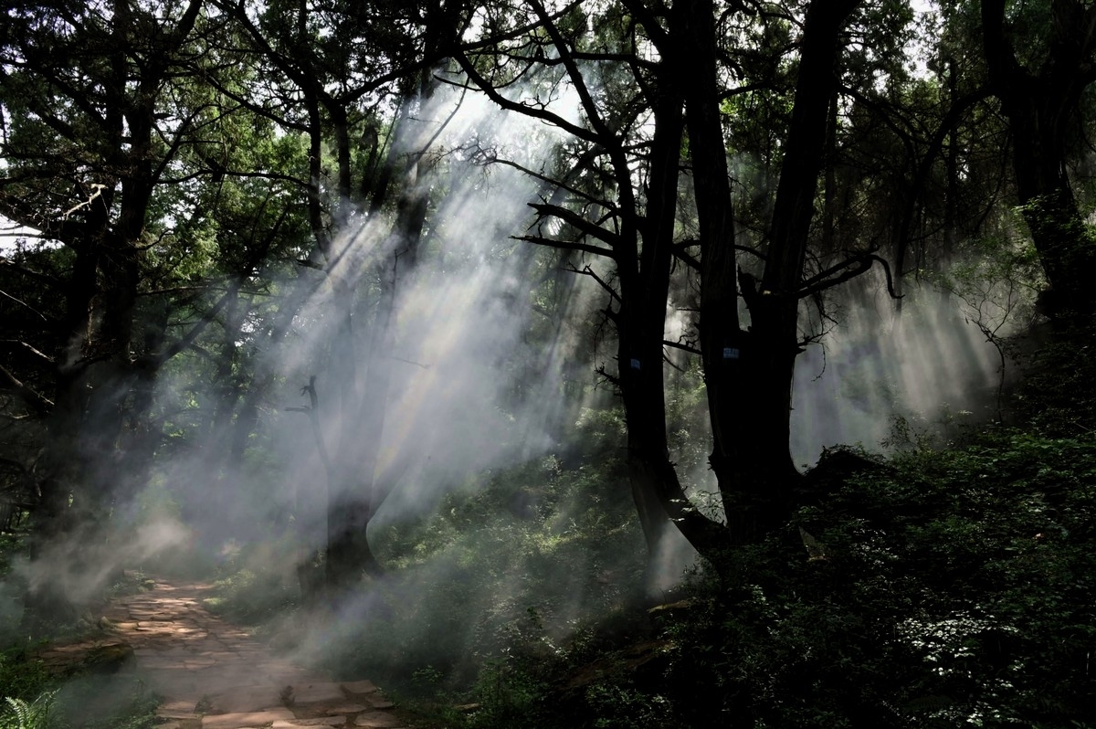 Ultra-Trail Shudao (Foto: © UTMB) Ultra-Trail Shudao (Foto: © UTMB)
