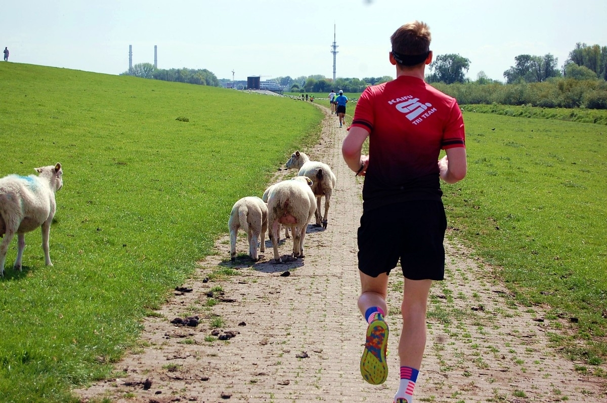 Wedeler Halbmarathon 2023, Foto: © Heiko Dobrick Wedeler Halbmarathon 2023, Foto: © Heiko Dobrick