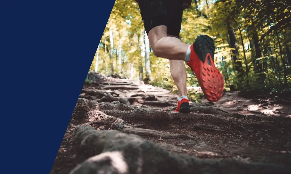 Naunhofer Seenlauf Naunhofer Seenlauf