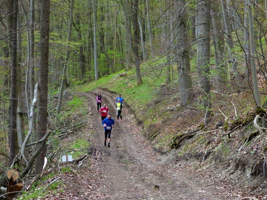 Rhöner Volkslauf (c) Veranstalter Rhöner Volkslauf (c) Veranstalter