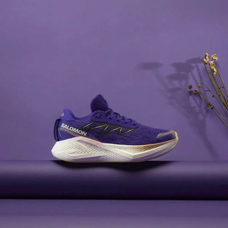 Salomon Aero Glide 4 (© Salomon) Salomon Aero Glide 4 (© Salomon)