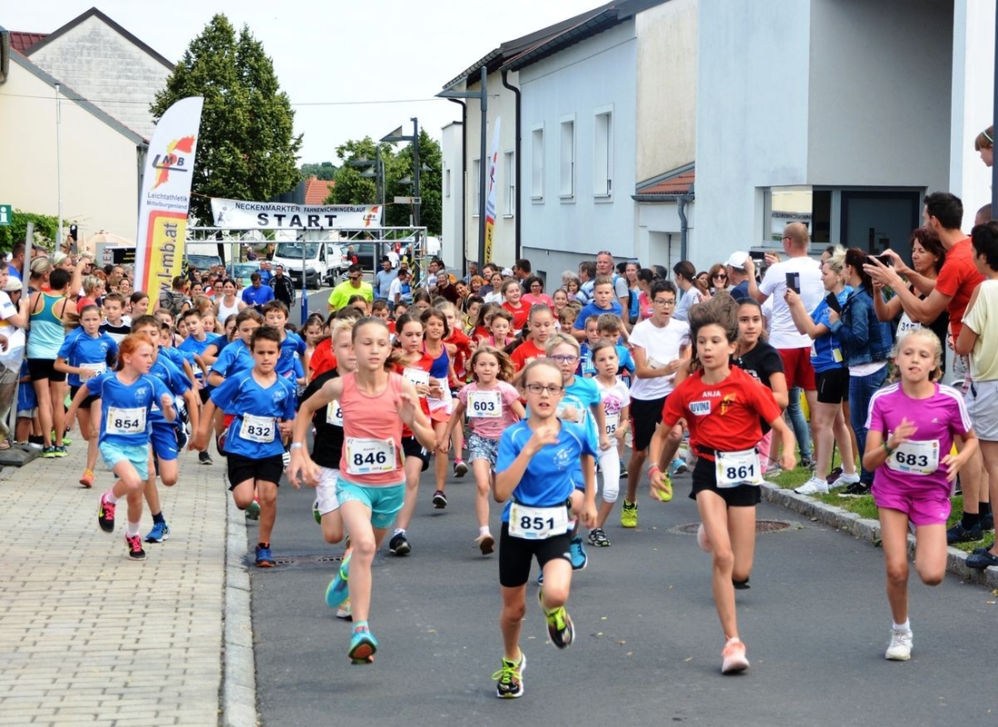 LMB-Fahnenschwingerlauf Neckenmarkt LMB-Fahnenschwingerlauf Neckenmarkt