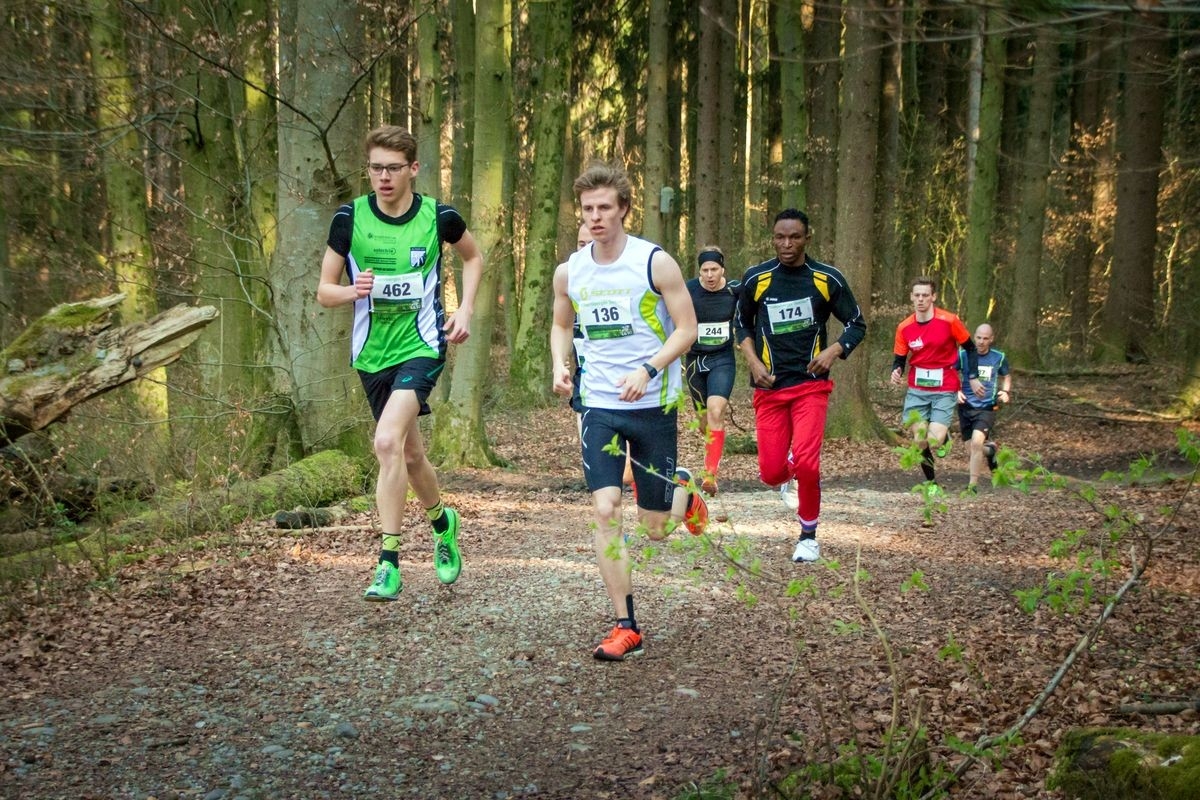 Ebersberger Seelauf, Foto: Veranstalter Ebersberger Seelauf, Foto: Veranstalter