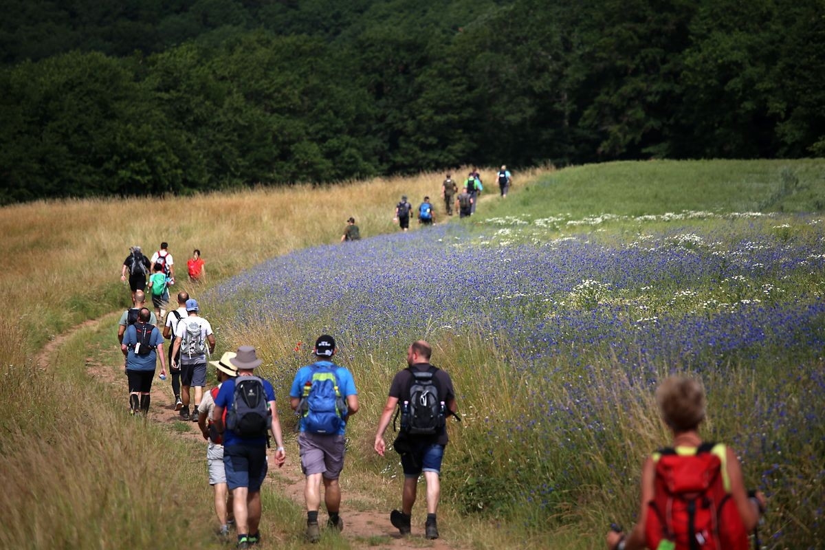 24 Stunden von Rheinland-Pfalz, Foto: Hunsrück Schiefer- und Burgenstraße e.V. 24 Stunden von Rheinland-Pfalz, Foto: Hunsrück Schiefer- und Burgenstraße e.V.