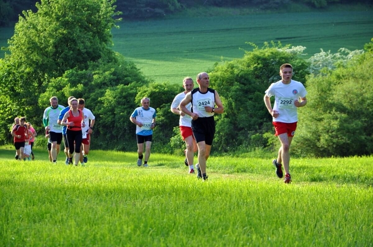 Lauf um die Kreckwitzer Höhen, Foto: Veranstalter Lauf um die Kreckwitzer Höhen, Foto: Veranstalter